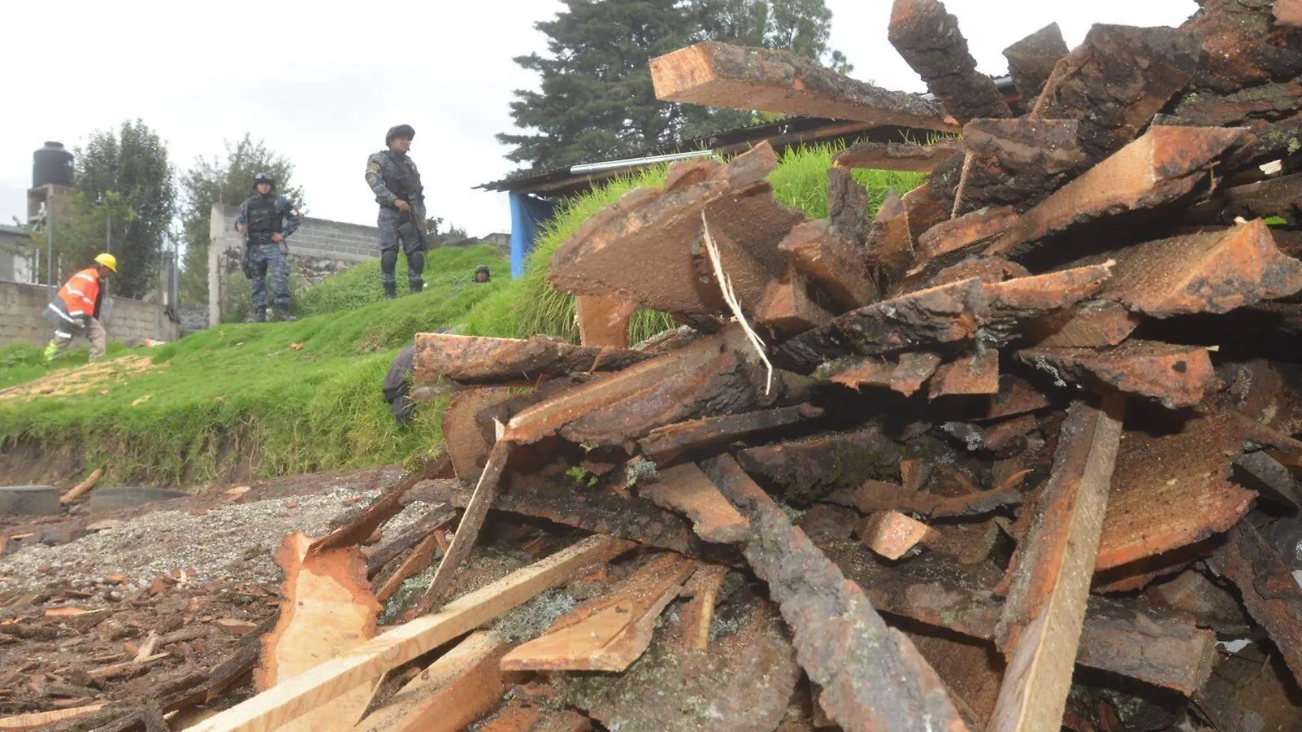 TALA CLANDESTINA EN EL AJUSCO. ARCHIVO LUIS BARRERA LA PRENSA (1)